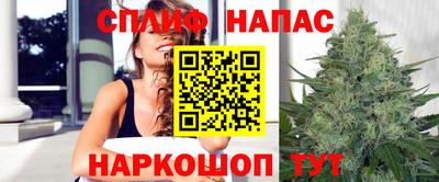 спайс Гатчина