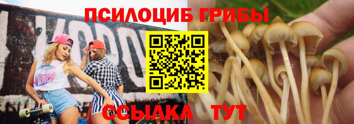 Галлюциногенные грибы ЛСД  Вход с VPN  Губаха 